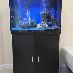 Fish Tank Aquarium with Stand and All Accessories 