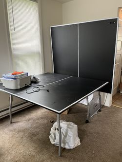 Regulation Size Ping Long Table! 