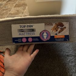Dog Bed Brand New 