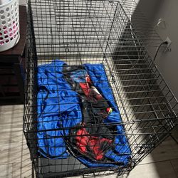 Vibrant Life Wire Dog Crate, Double-Door, Divider and Leak-Proof Tray, Metal, Foldable, Durable, Black, 42"