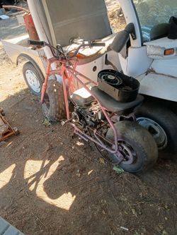 Coleman minibike