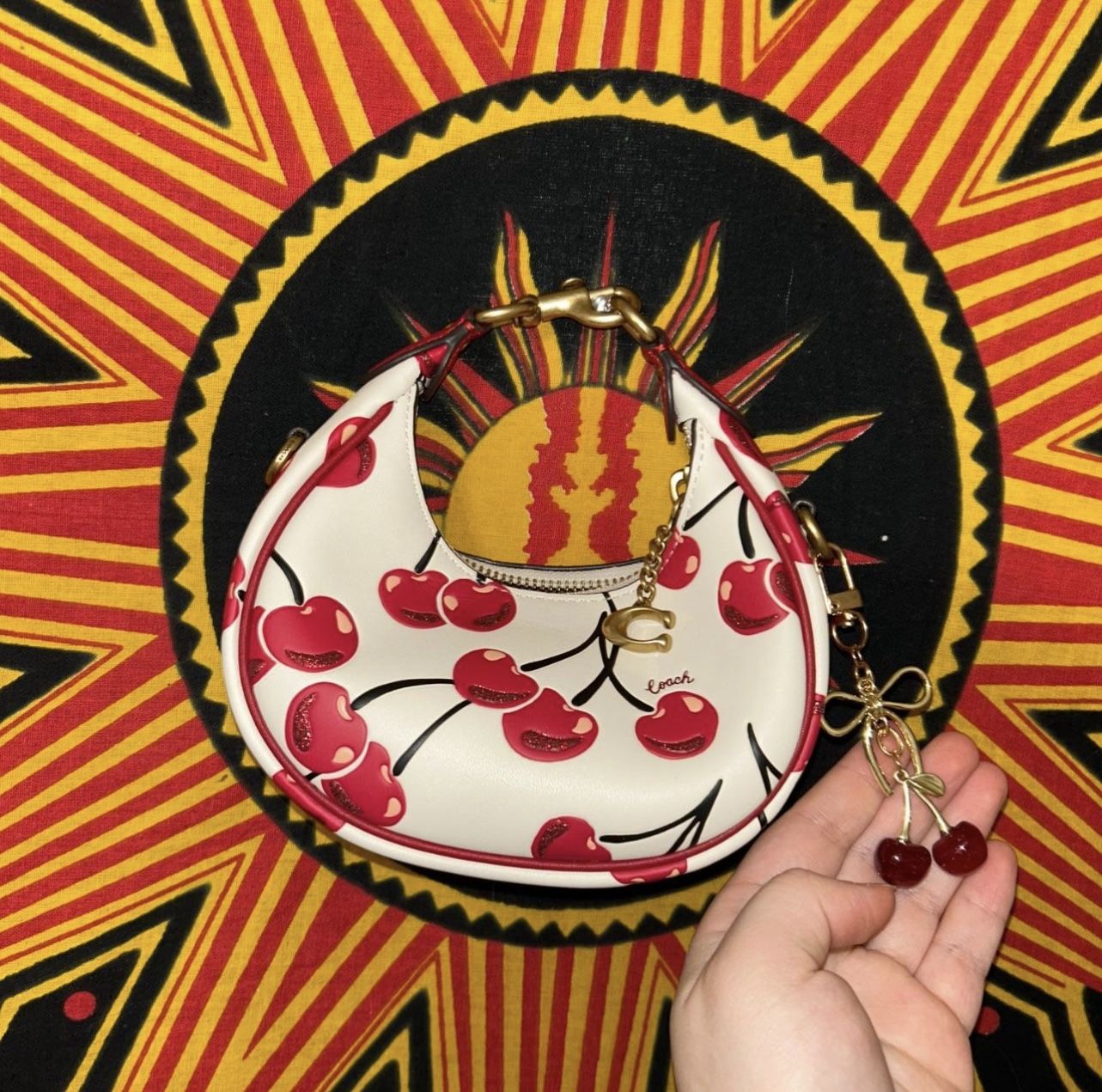 Coach Cherry Print Bag 