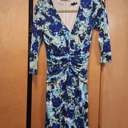 Ann Taylor Blue Floral Ruched Long Sleeve Dress