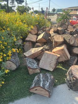 RED OAK 🪵 LOGS $10 Each 