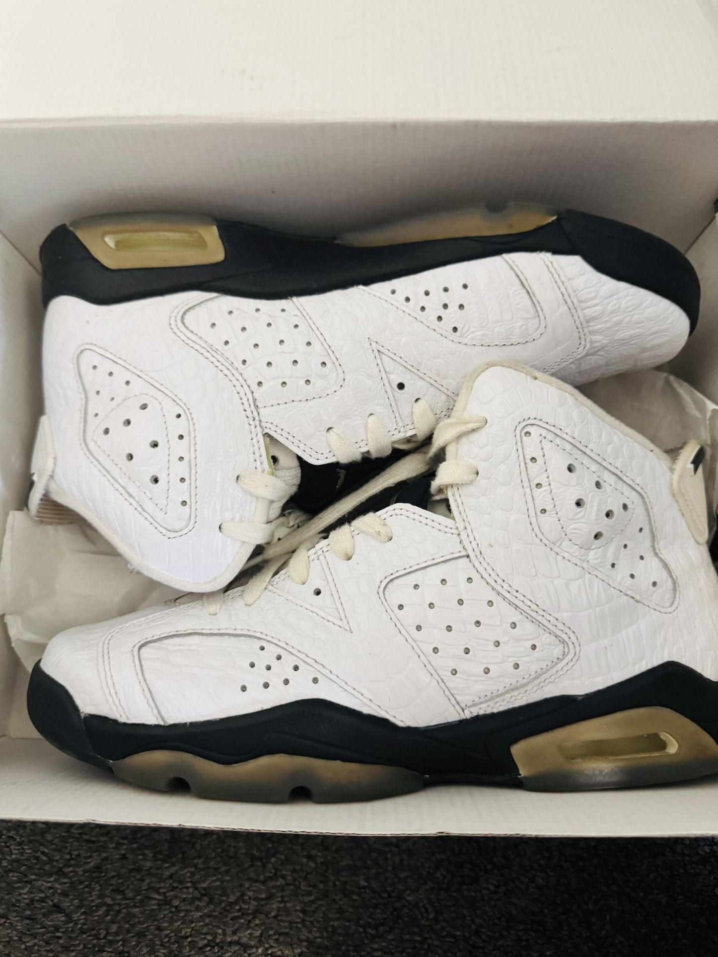 Jordan 6 Alligator Skin