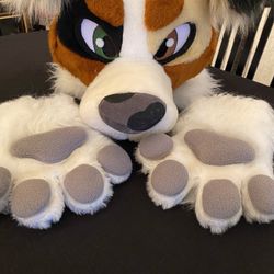 Furry Mascot Head And Paws