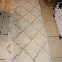 GOT 2 GORGEOUS SHAG RUNNERS tex Sz Only Very Interested Only ....20 Each FIRM TOO