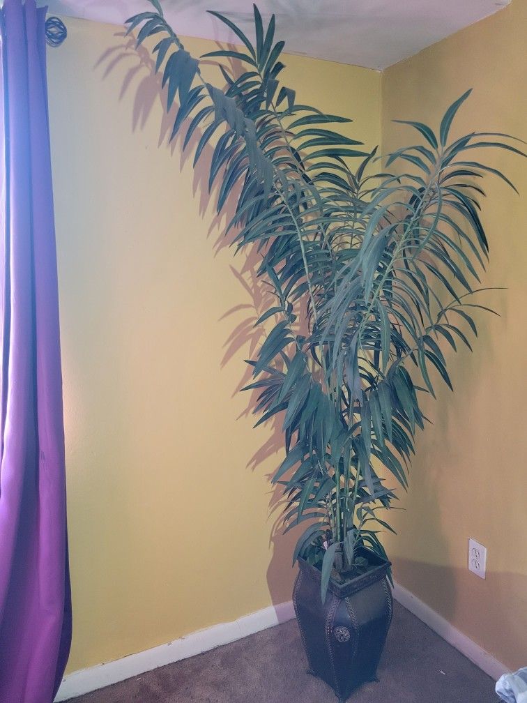 Elegant Faux Tropical Plant $20 