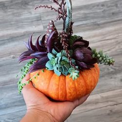 Thanksgiving Succulent Pumpkins $20