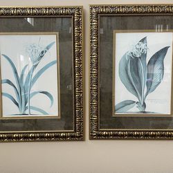 2 Large Wall Pictures on Frames 
