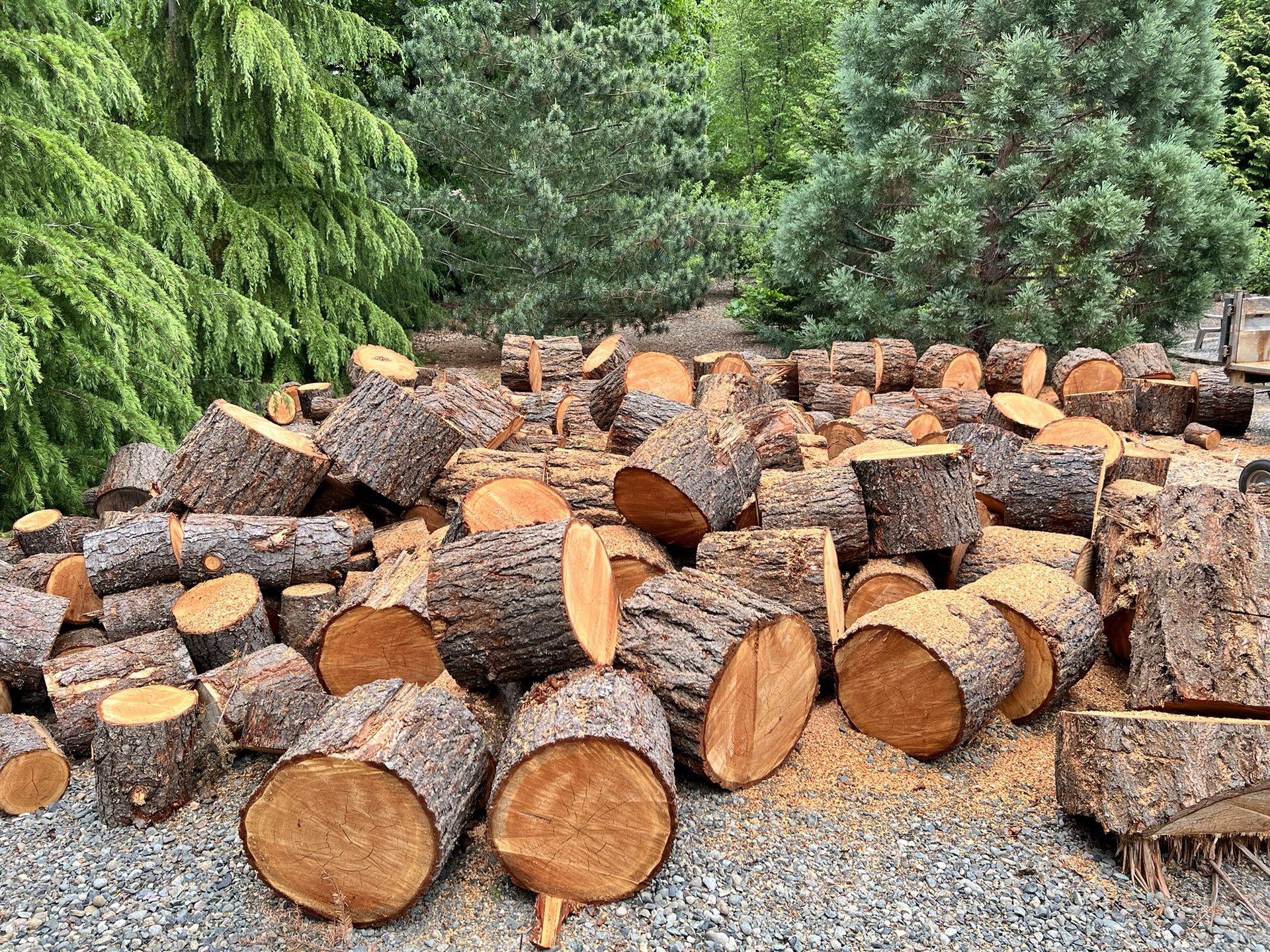 Firewood, All Fir Rounds. for Sale in Puyallup, WA OfferUp