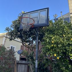 Basketball Stand For Outdoors