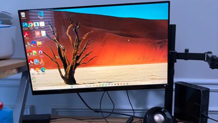 Dual dell monitors bundle