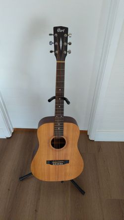 Cort Acoustic Guitar
