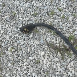50 foot 50 amp RV cord