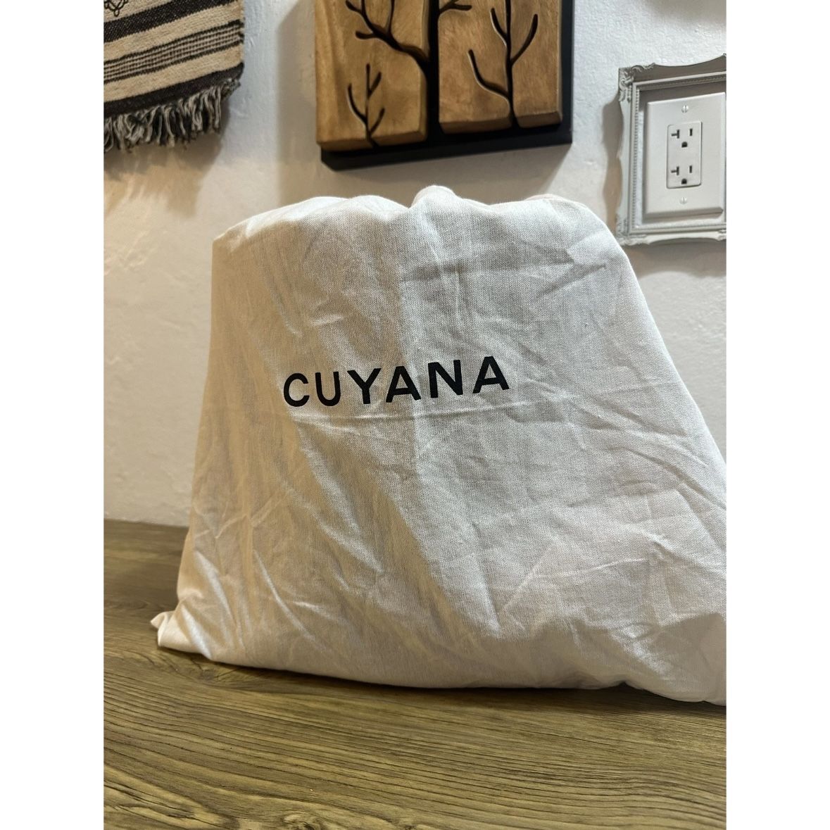 Cuyana Tote 