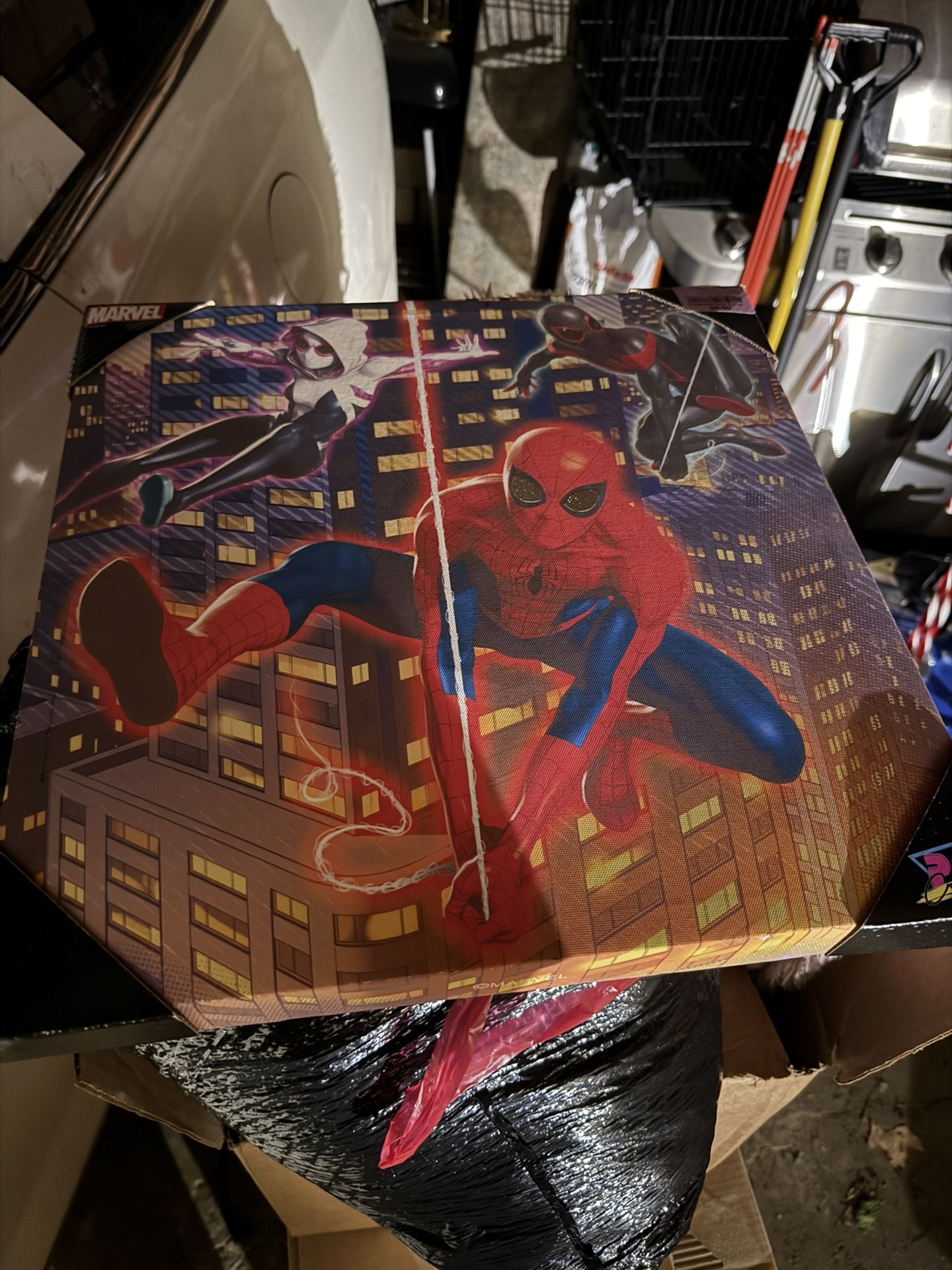 spider-man canvas photo