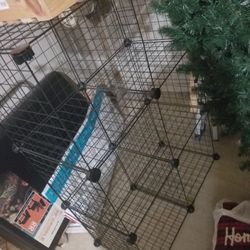 Cubes Shelve For Soft Toys Great Condition dont Need 