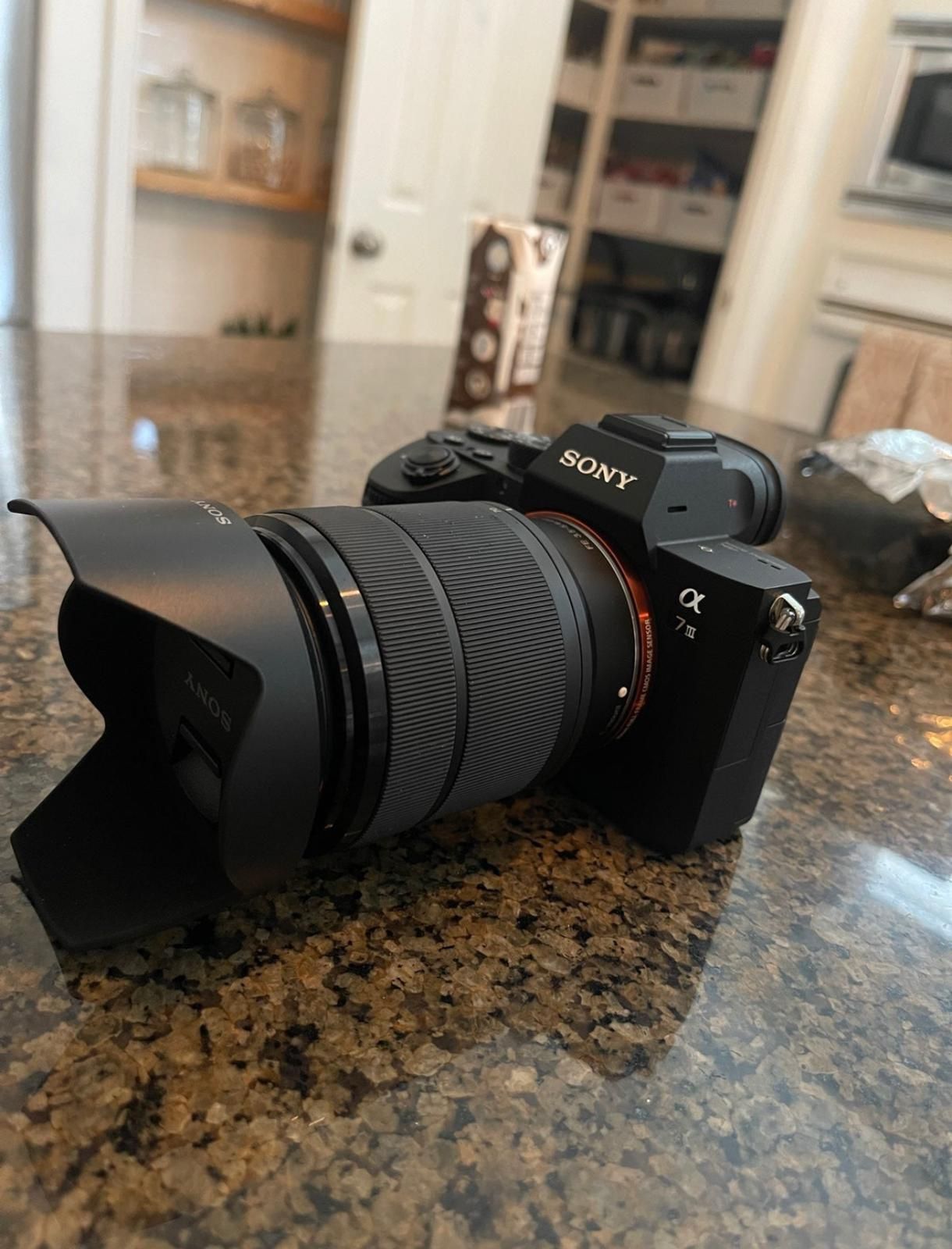 Sony Alpha a7iii with a 28-70 lens