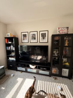 IKEA BESTÅ Entertainment Center