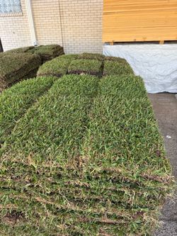 Grass for sale , delivery and installation