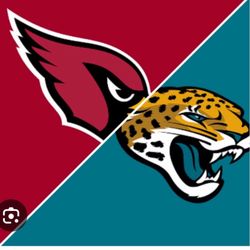 Jacksonville Jaguars Vs Arizona Cardinals Lower Level Row 4