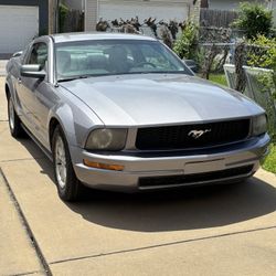 Mustang Deluxe V6 06