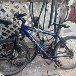 Specialized mountain bike