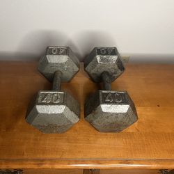 40lbs Dumbbells 