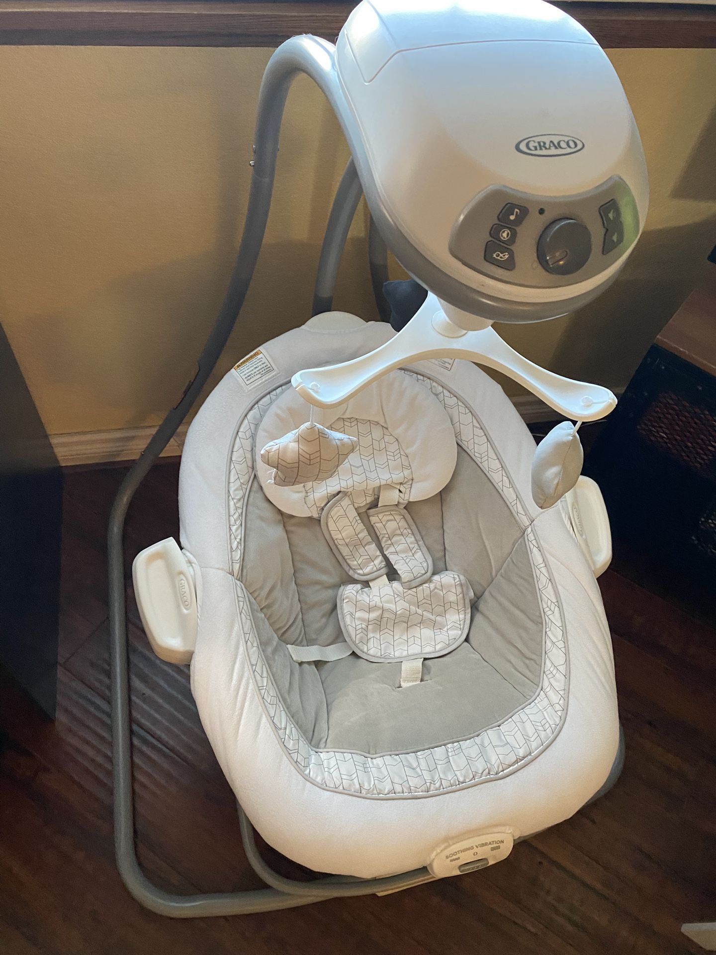Graco Swing/Bouncer Combo