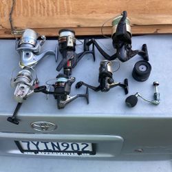 Fishing Reels