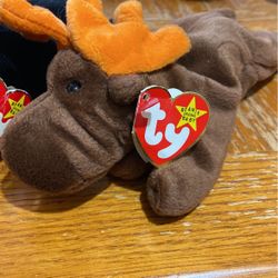 Beanie Baby chocolate With Error Tag