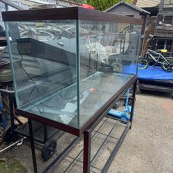 75 Gallon Fish Tank 