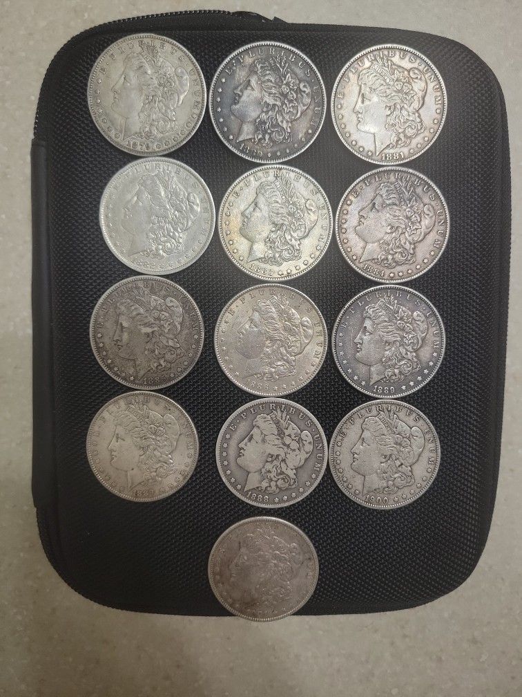 Assorted Morgan Silver Dollars. $38 Each