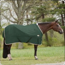 Big D Espree horse Turnout Sheet blanket hunter green new 84