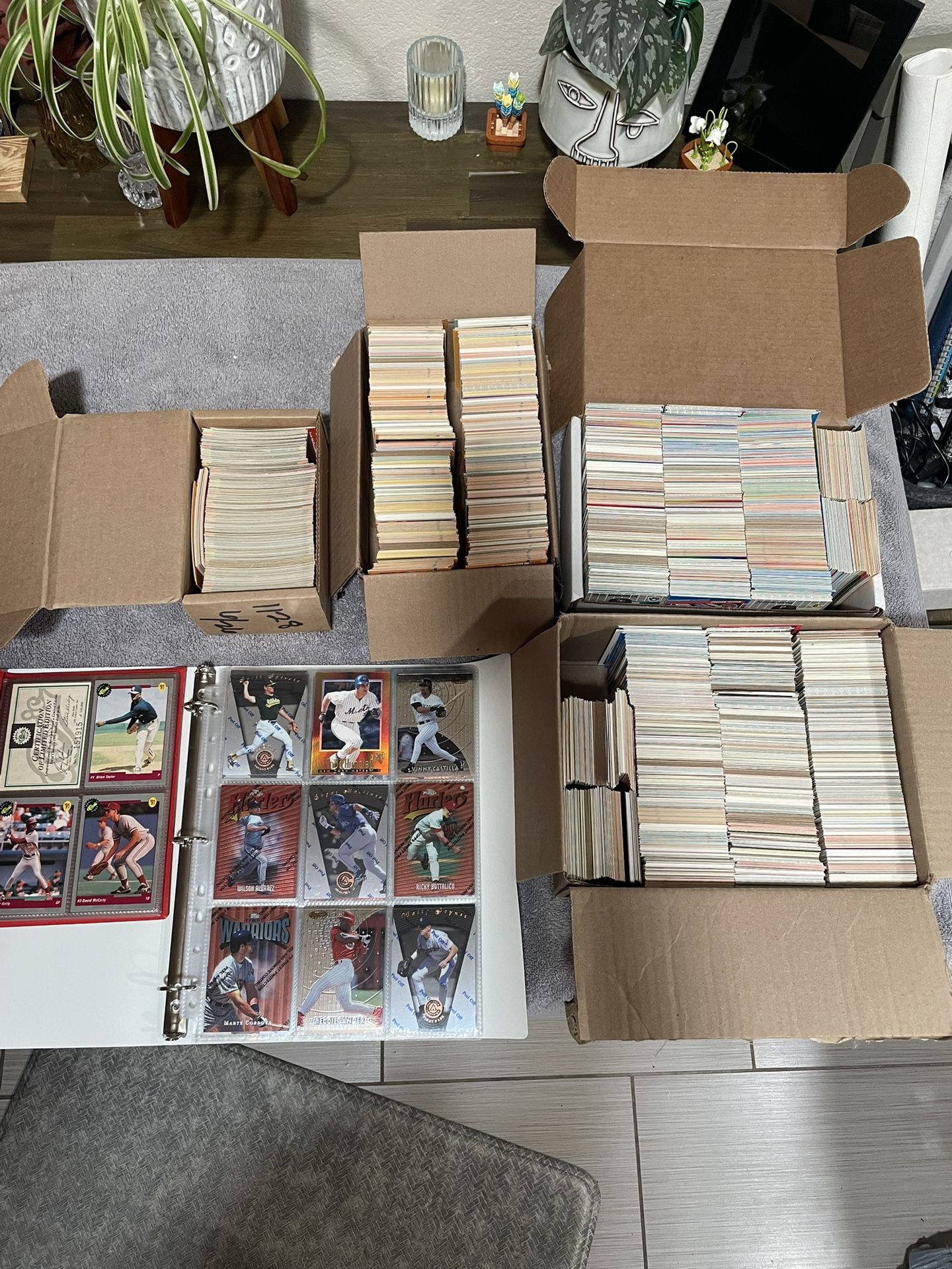 Baseball Card Collection 1,000+