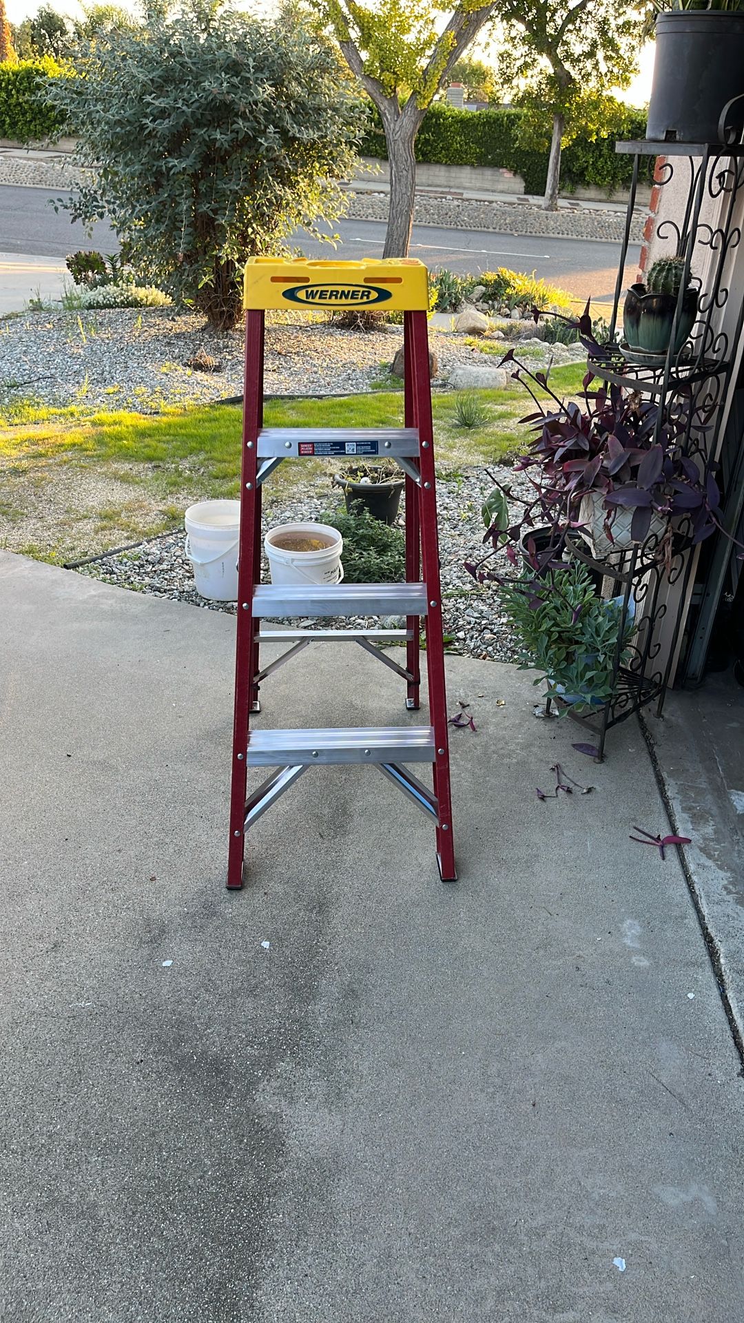 Werner Ladder 