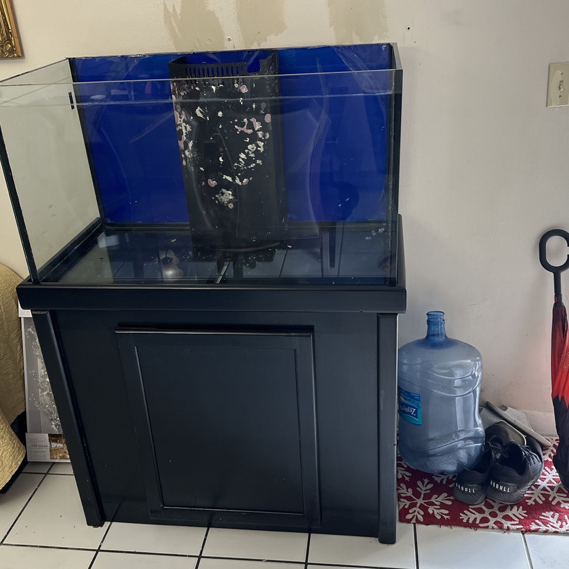 Rimless Reef Tank 36x18x21 67 Gallons
