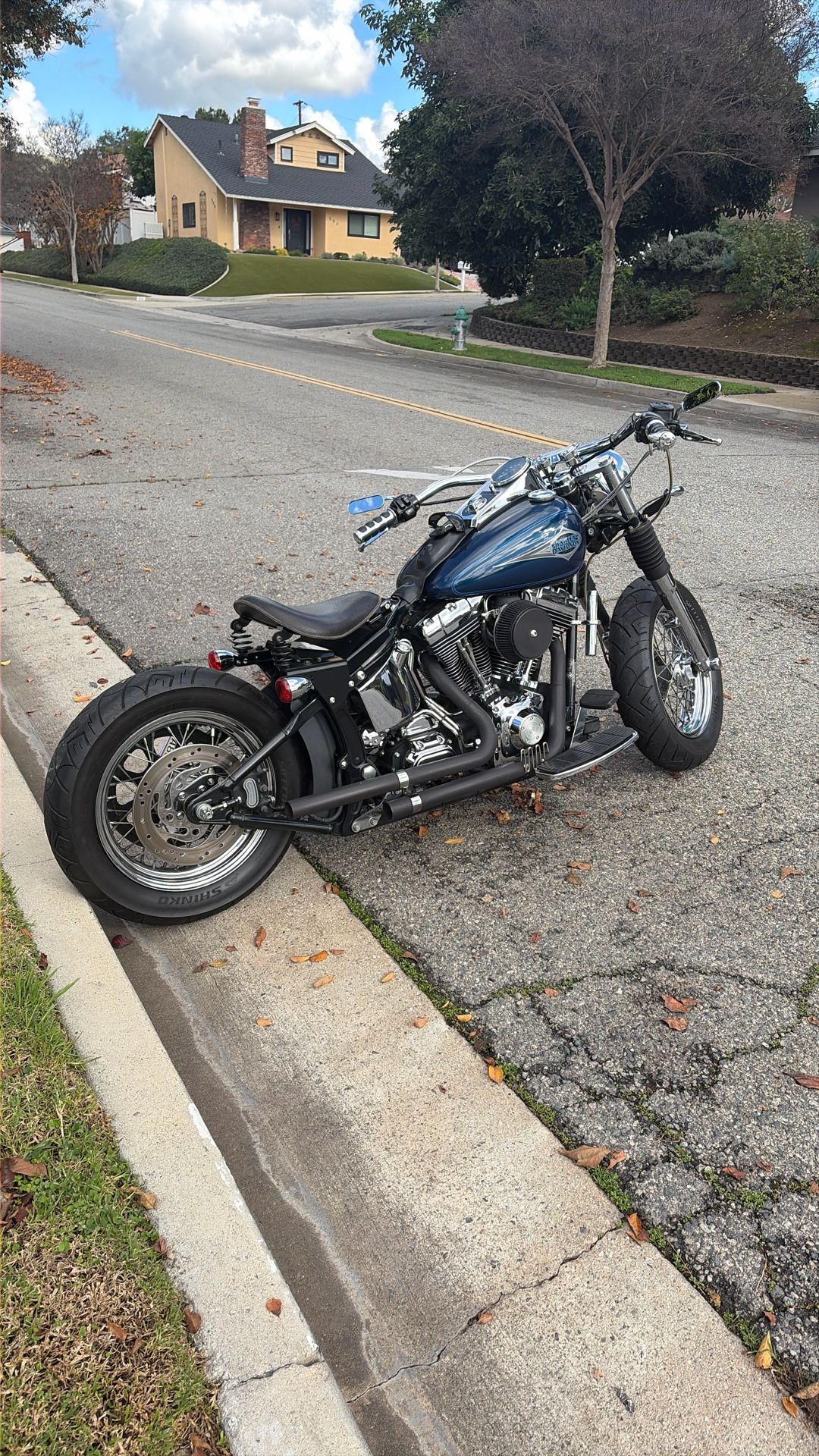Harley Davidson, 2000 Softail Bobber