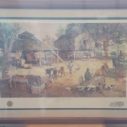 Limited Edition Framed Print