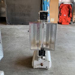 Gavita 1200w Lights