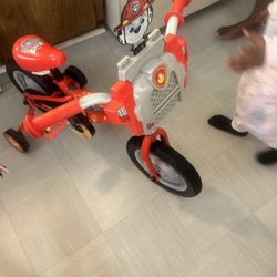 Paw Patrol (Marshall ) Bike 