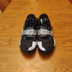 Nike LeBron 