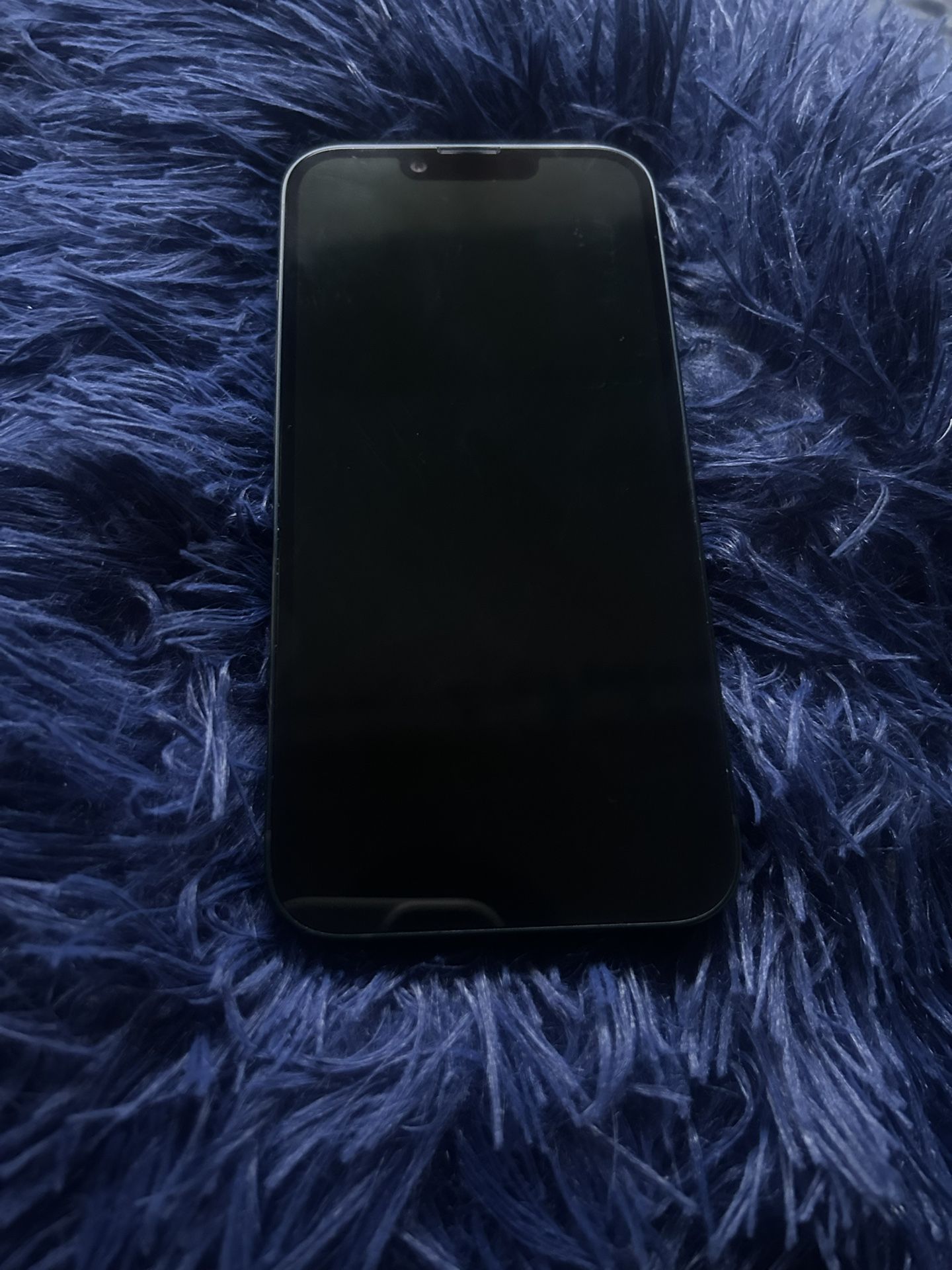 iPhone 14