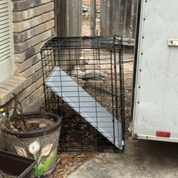 Dog Cage