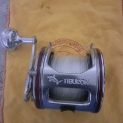 Penn Saltwater Fishing Reel