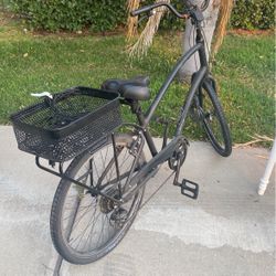 Elektra Townie Cruiser .