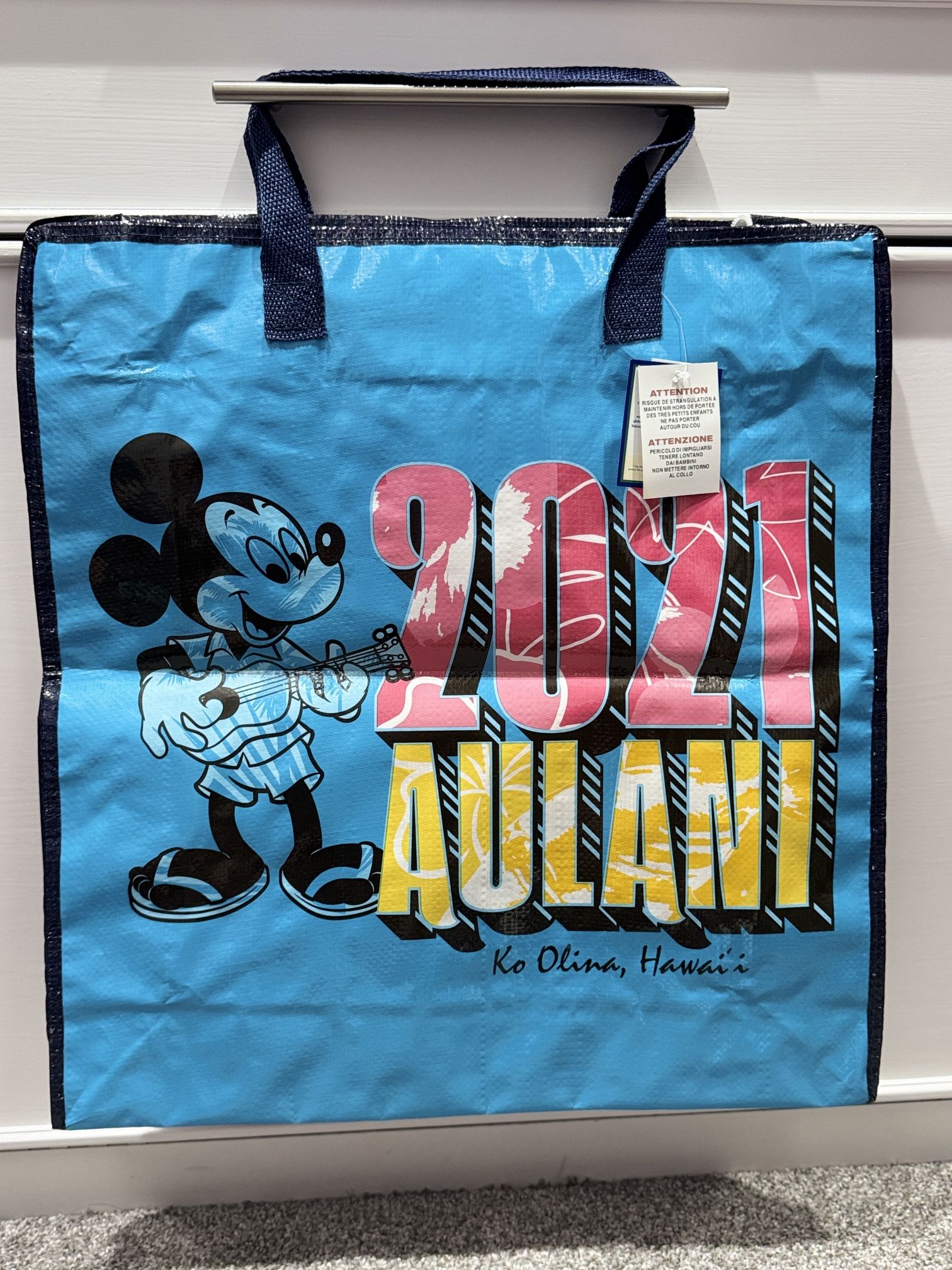 Mickey Mouse Aulani Zippered Storage Bag