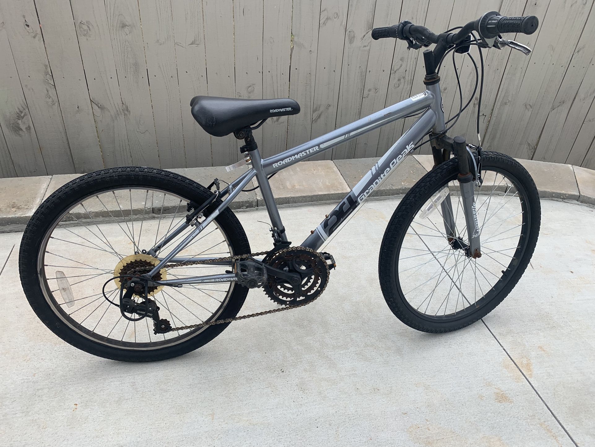 Roadmaster best sale fat bike