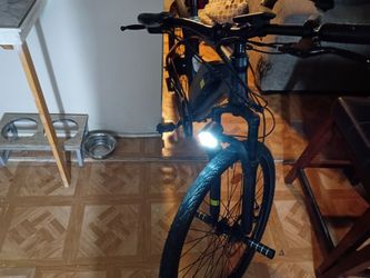 E bike